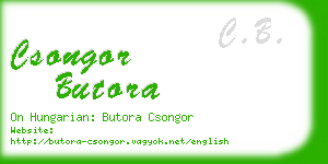 csongor butora business card